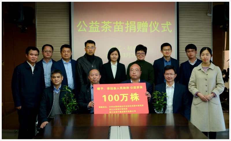 浙茶集團聯(lián)合捐贈百萬(wàn)株公益茶苗  助力江西省安遠縣脫貧攻堅 浙茶集團聯(lián)合捐贈百萬(wàn)株公益茶苗  助力江西省安遠縣脫貧攻堅