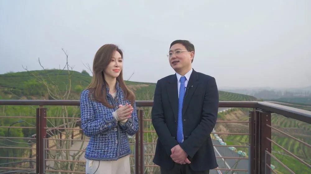 浙江電視臺教科頻道播出專(zhuān)訪(fǎng)節目 介紹浙茶集團承擔“白葉一號”茶葉扶貧等事項