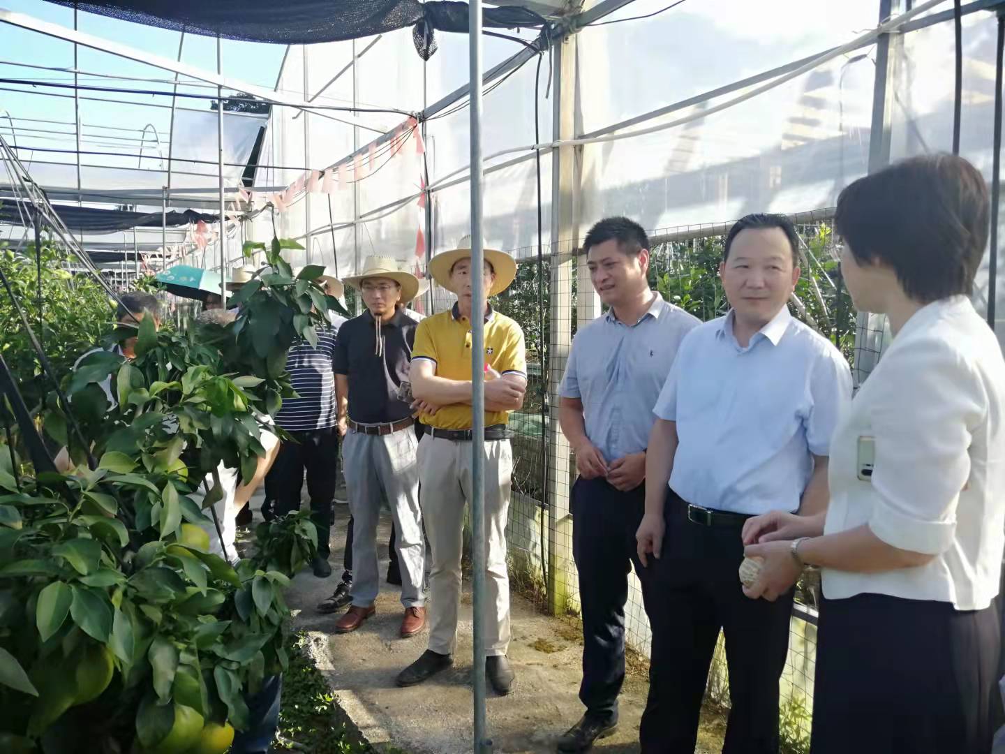 省政協(xié)農業(yè)和農村界別一組至象山開(kāi)展“雙強”行動(dòng)考察調研界別活動(dòng) 省政協(xié)農業(yè)和農村界別一組至象山開(kāi)展“雙強”行動(dòng)考察調研界別活動(dòng)