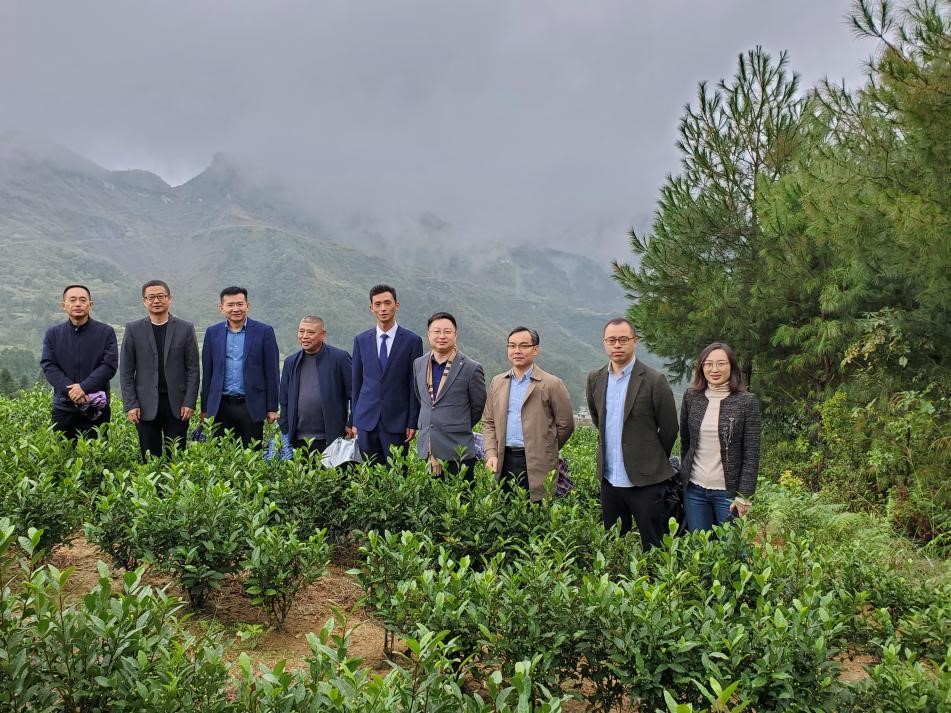 以茶為媒助推鄉村振興——集團黨委書(shū)記陳星帶隊赴川黔“白葉一號”受捐地及周邊考察交流 以茶為媒助推鄉村振興——集團黨委書(shū)記陳星帶隊赴川黔“白葉一號”受捐地及周邊考察交流